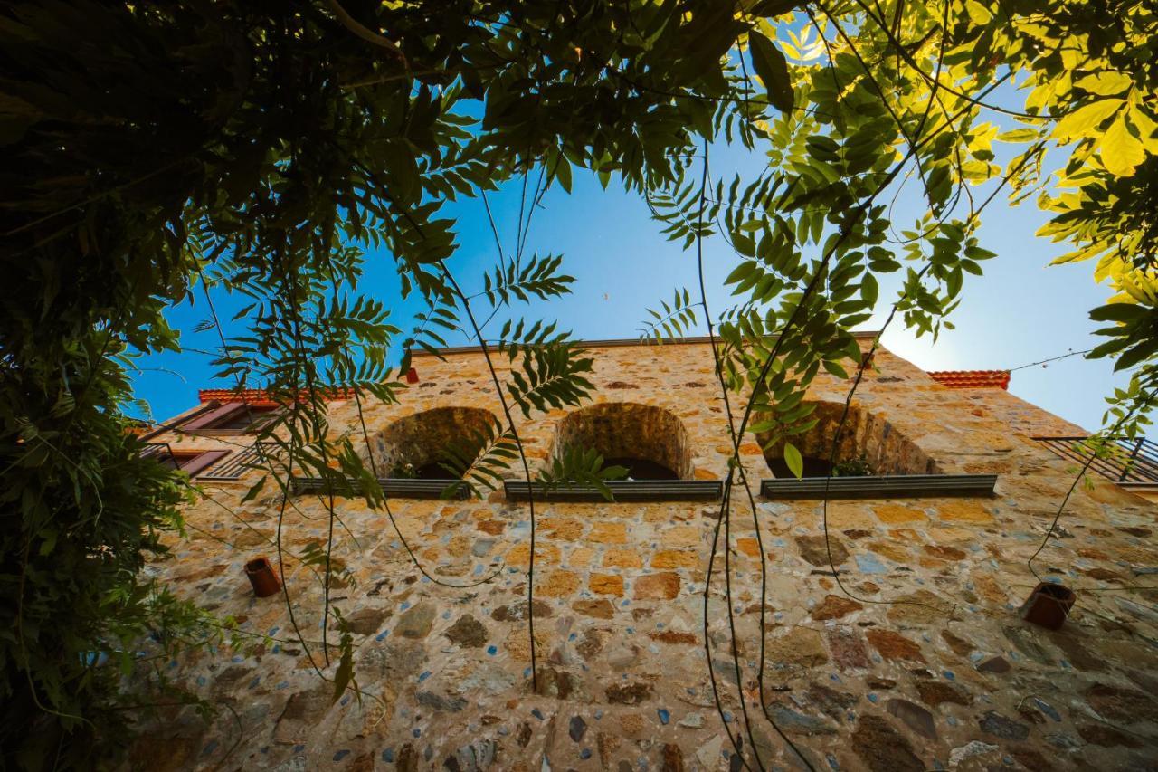 Residenza Golfo Degli Ulivi Caprioli Exterior foto
